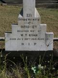 image of grave number 756700
